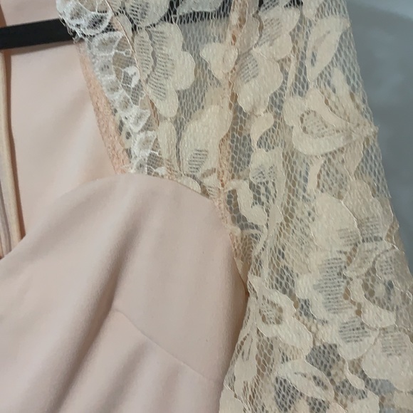 Blush Lace Mini Dress - Picture 3 of 6